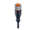 Cordset, M12 Socket - Bare End, 5 Conductors, 5m, IP67 / NEMA 6P, Black